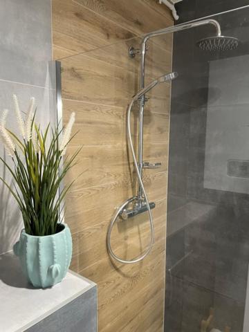 Green Apartment Baltic Residence بوبيروفو المظهر الخارجي الصورة